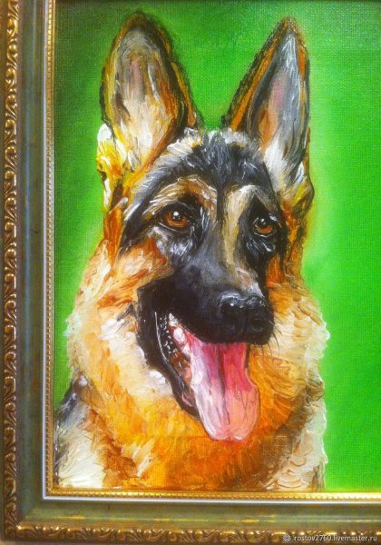 Овчарка портрет