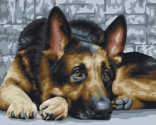 Немецкая овчарка