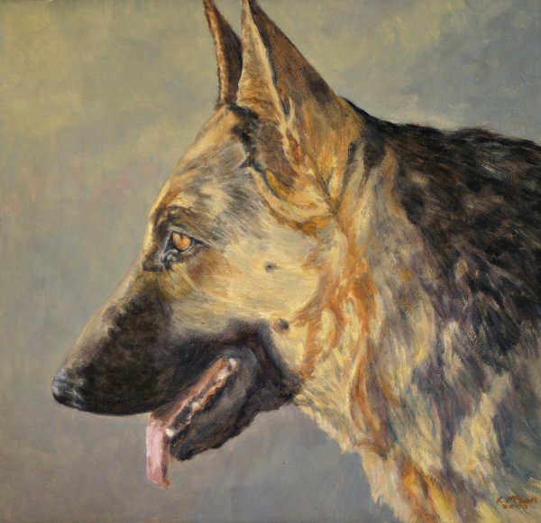 Немецкая овчарка живопись