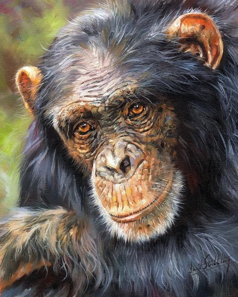 Мартышка алмазная мозаика