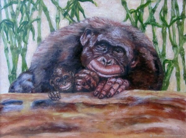 Обезьяны в искусстве