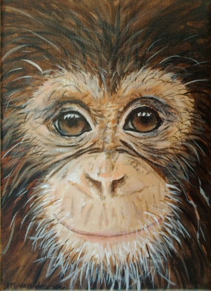 Chimpanzee Art картины