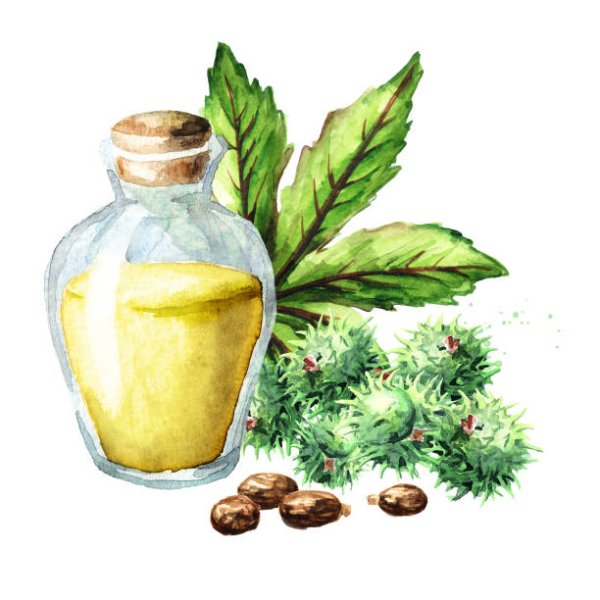 Касторовое масло иллюстрация