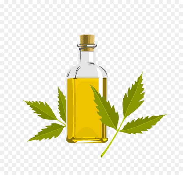 Растительное масло вектор