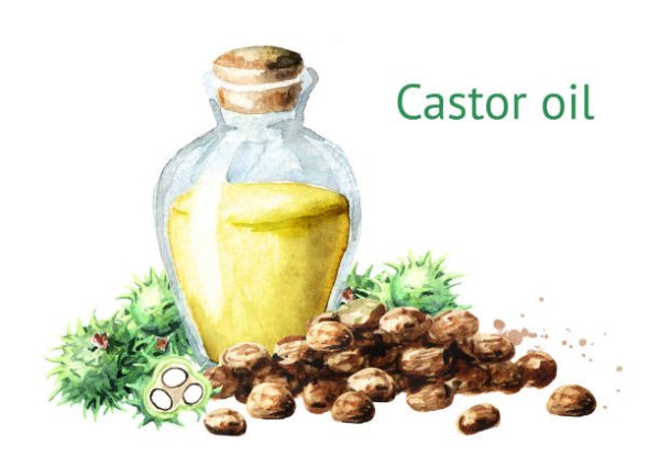 Касторка рисунок