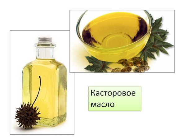 Касторовое масло