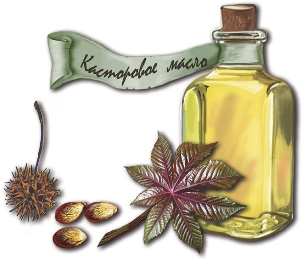 Этикетка касторка