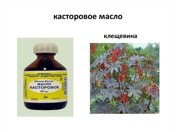 Касторовое масло. 100 Мл