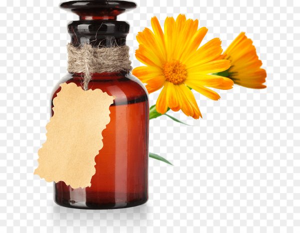 Клещевина раскраска