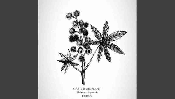 Масло для волос вектор