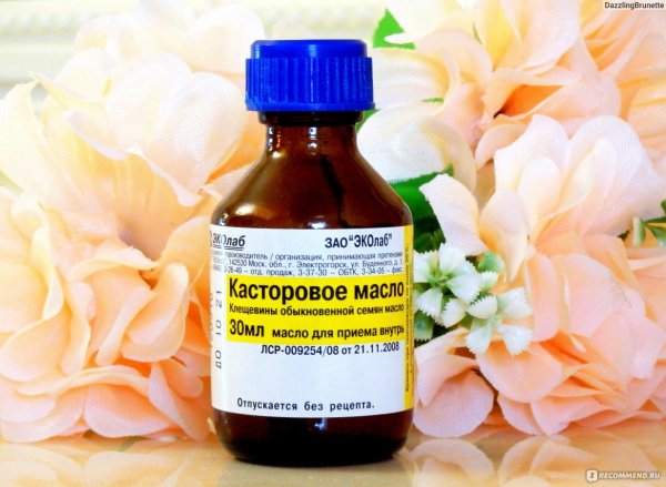 Клещевина рисунок