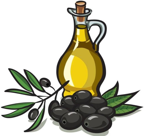 Оливковое масло вектор