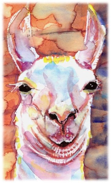 Альпака картина