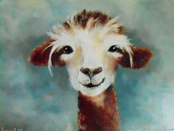 Lama animal акварель