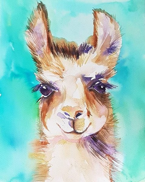 Постер альпака лама акварель