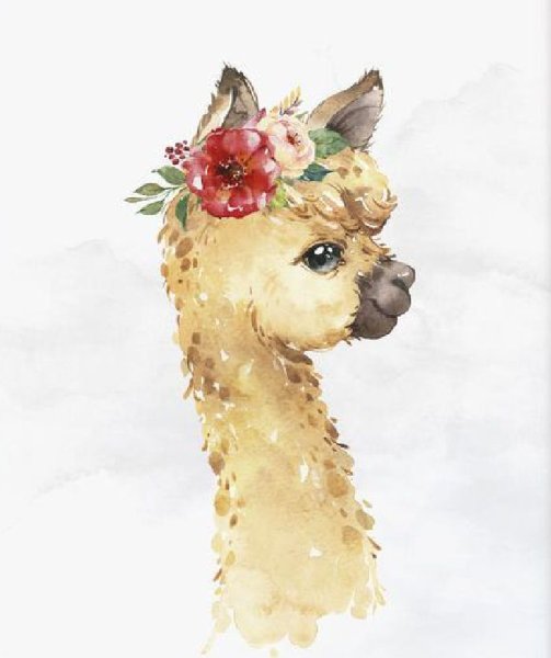Лама акварель