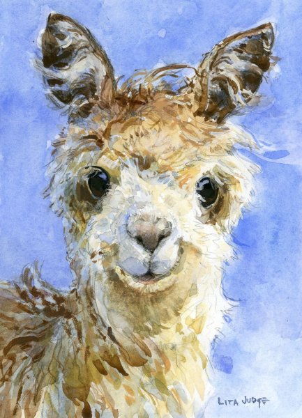 Лама рисунок маркерами