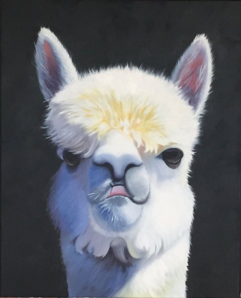 Лама рисунок