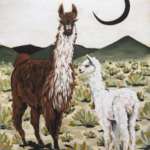 Иллюстрации летающий лама