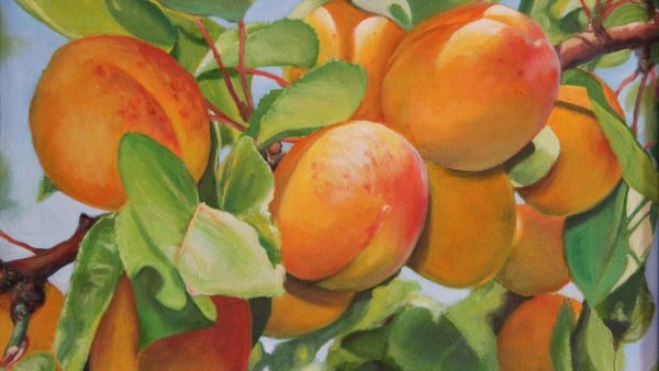 Наталья Терехова художник