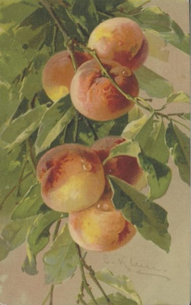 Живопись ветка персика