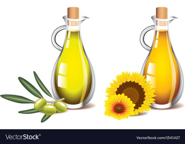 Подсолнечное масло вектор
