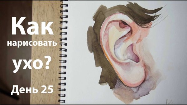 Ухо рисунок акварелью