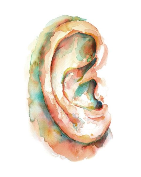 Ухо живопись