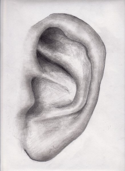 Как нарисовать ухо старика