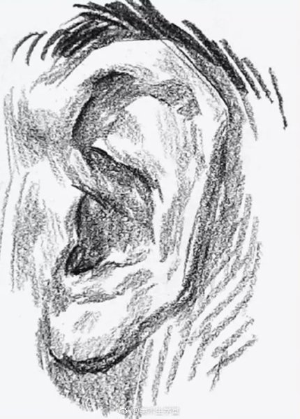 Ушная раковина референс