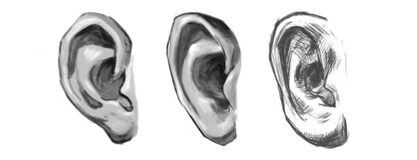 Ухо в три четверти