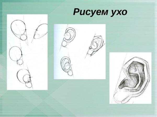 Ухо акварелью