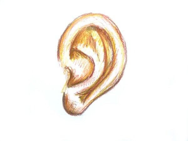 Ласковый шепот в ухо рисунок