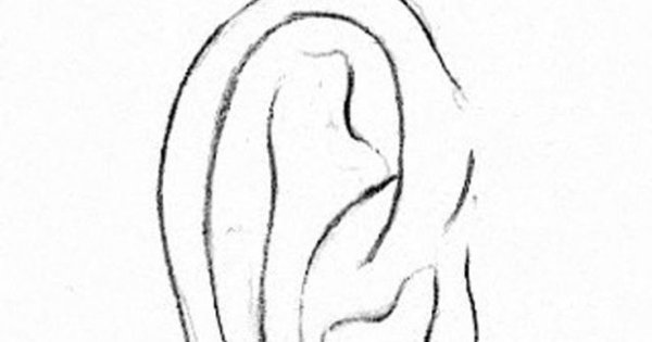 Разорванное ухо референс