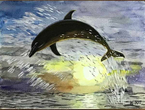 Дельфин акварелью