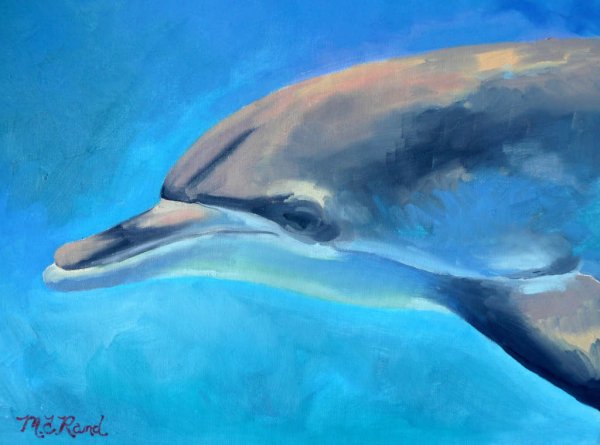 Дельфин акрилом