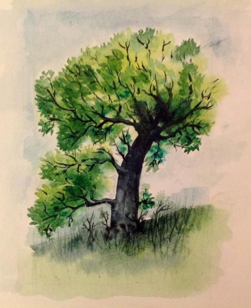 Рисование деревьев акварелью