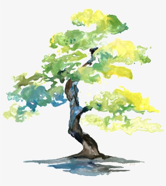 Деревья акварелью