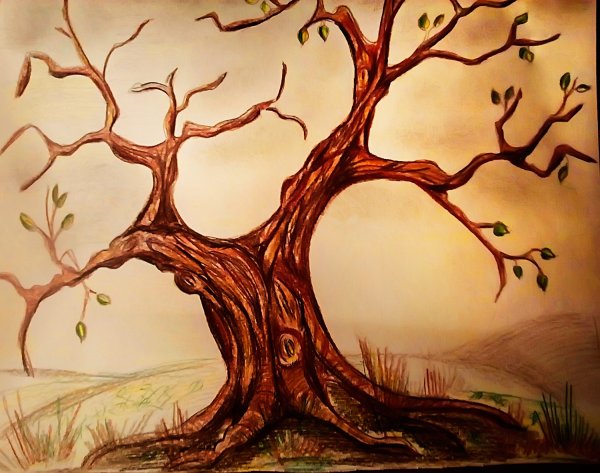 Дерево для рисования