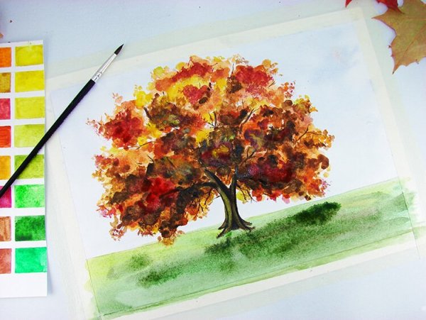 Деревья акварелью