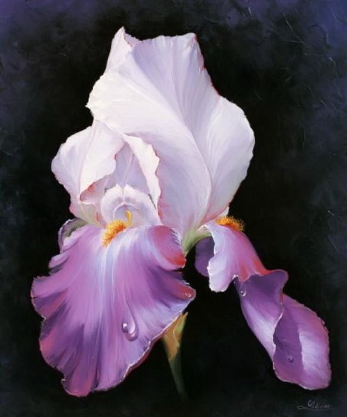 Ирисы художница Marianne Broome