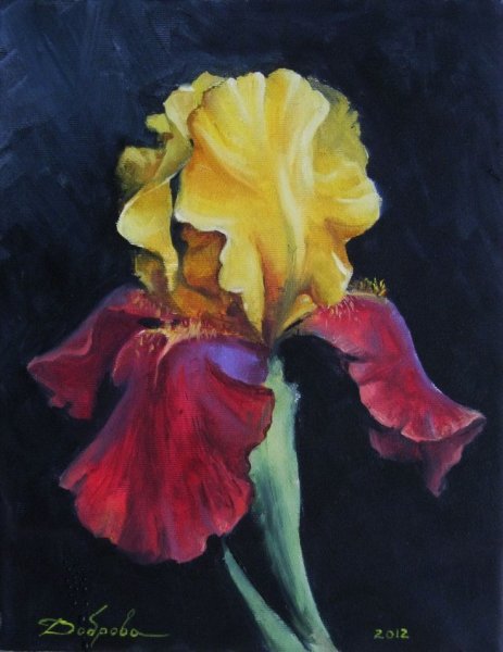 Ирисы маслом на холсте картины