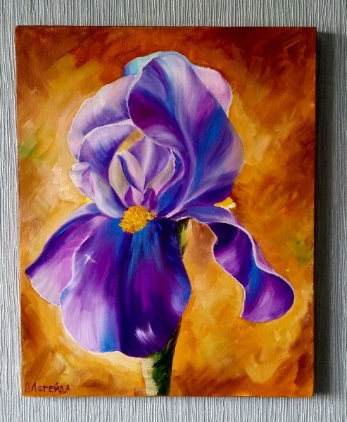 Картина ирисы
