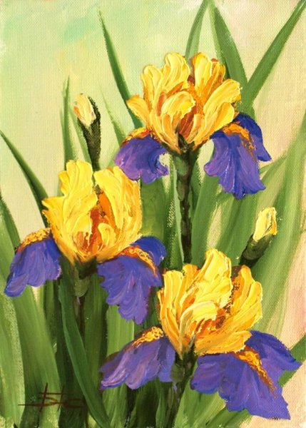 Ирисы Меткалф