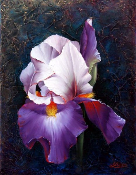 Эдуард Джафаров живопись маслом ирисы