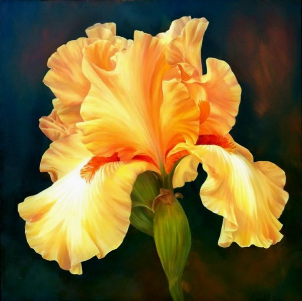 Марианна Брум ирисы