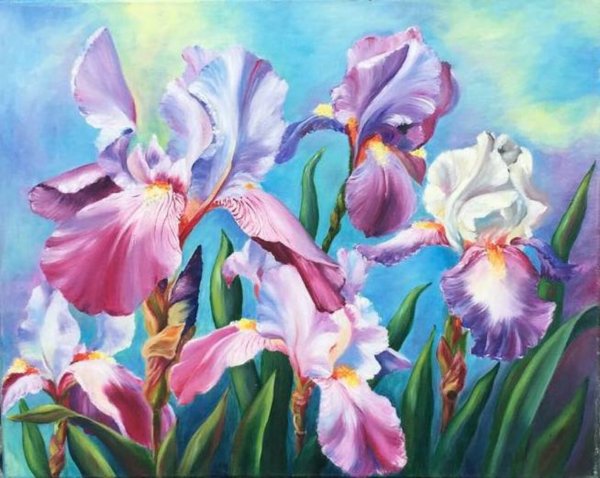 Ирис Oil Painting
