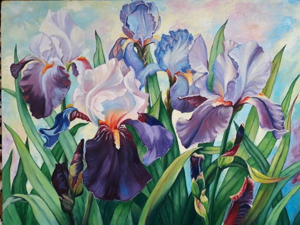 Ирисы Марины Воловик
