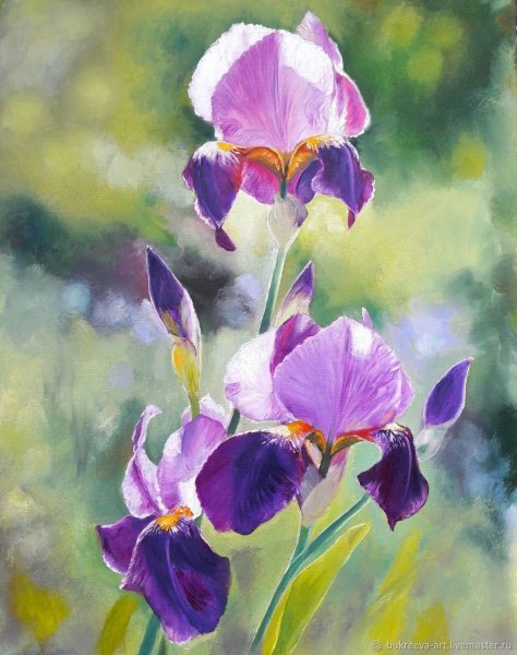 Татьяна Букреева картина Ирис