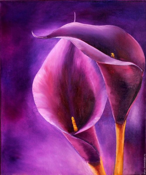 Фредерик Уайт художник фиолетовые цветы